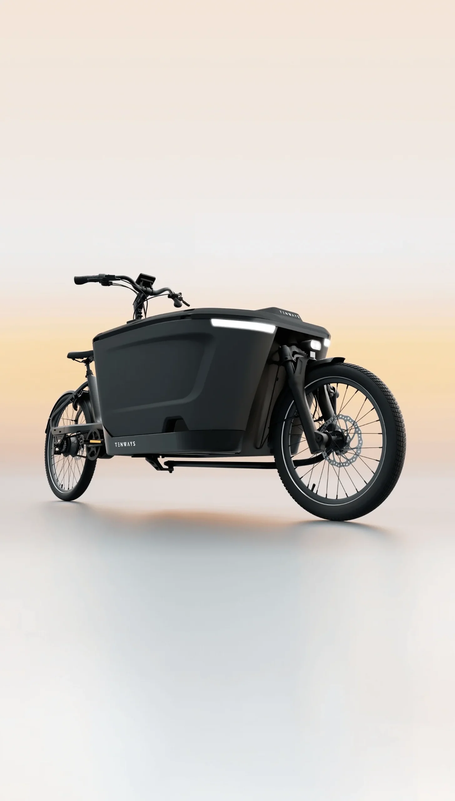 Cargo One electric bike (cargo) by Tenways mobile sized webp