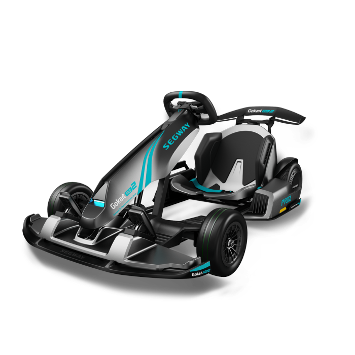 GoKart Segway - Pro 2